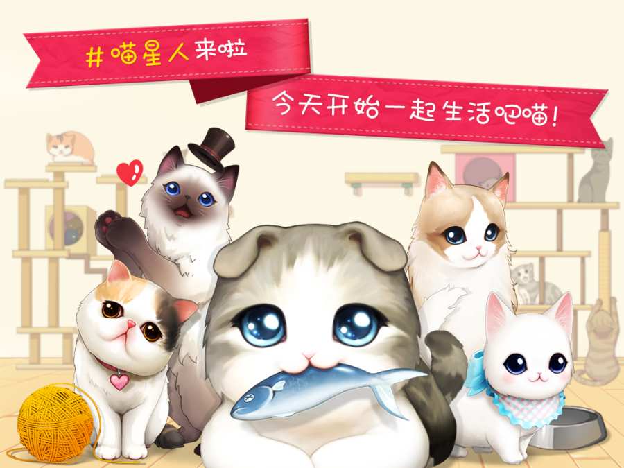 猫猫咖啡厅